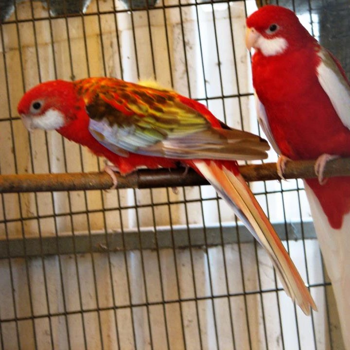 Foto 2